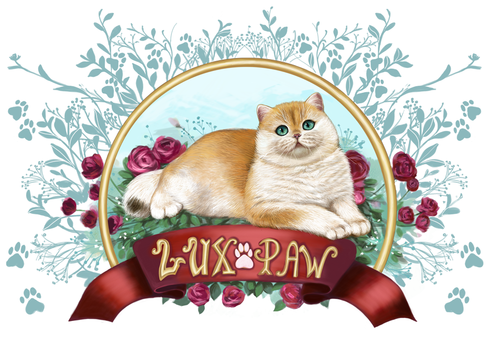 lux paw cattery